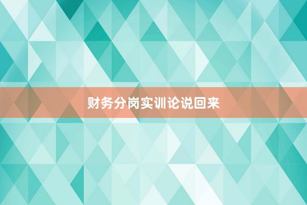 财务分岗实训论说回来